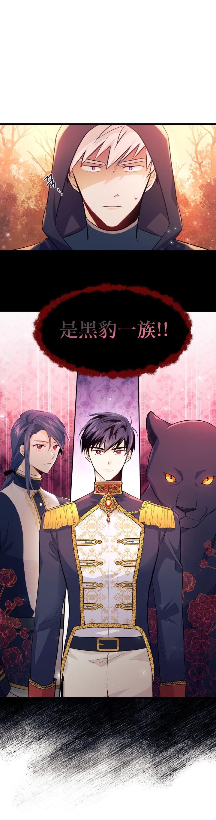 兔子与黑豹的共生关系第12话