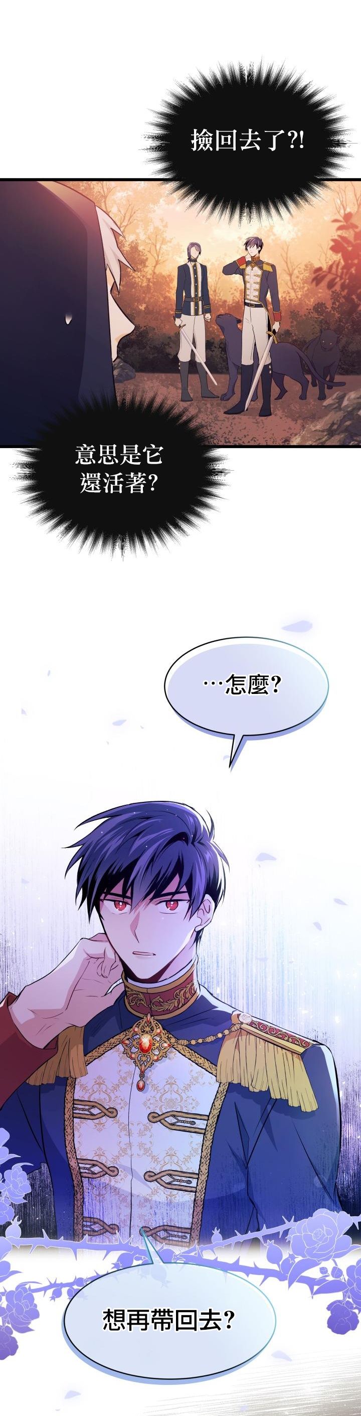 兔子与黑豹的共生关系第12话