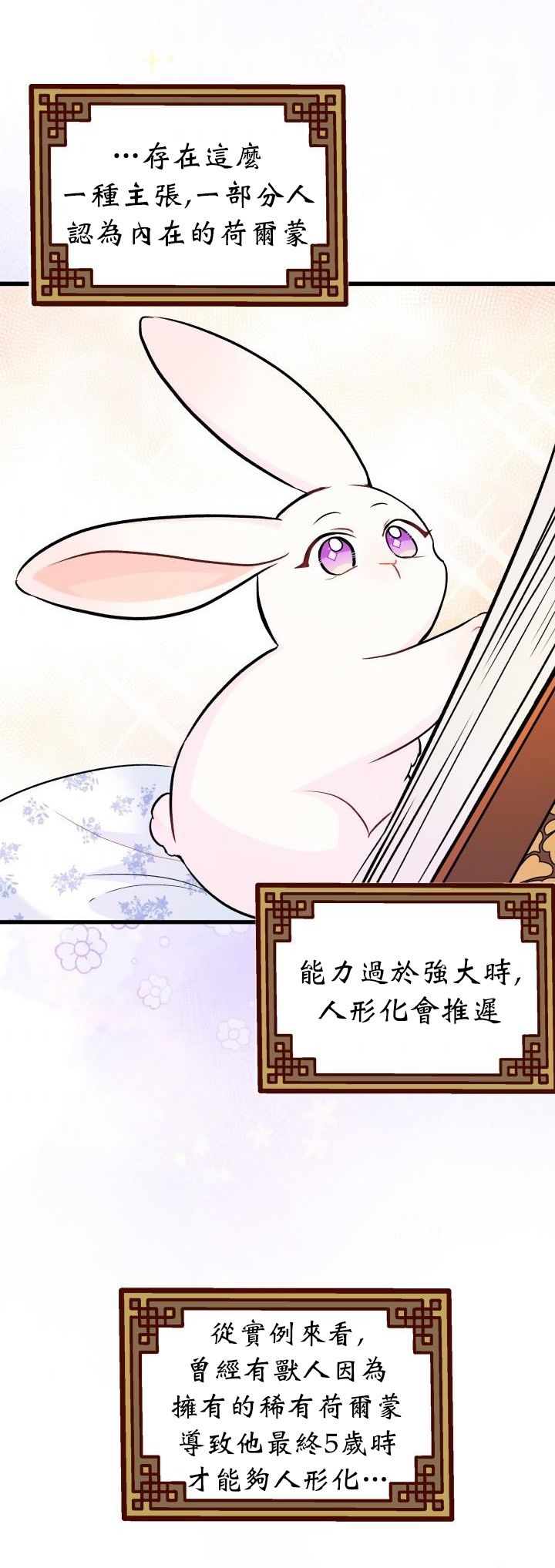 兔子与黑豹的共生关系第13话