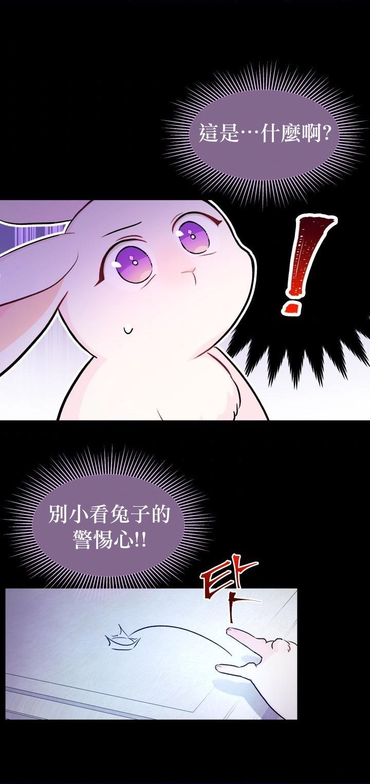 兔子与黑豹的共生关系第13话