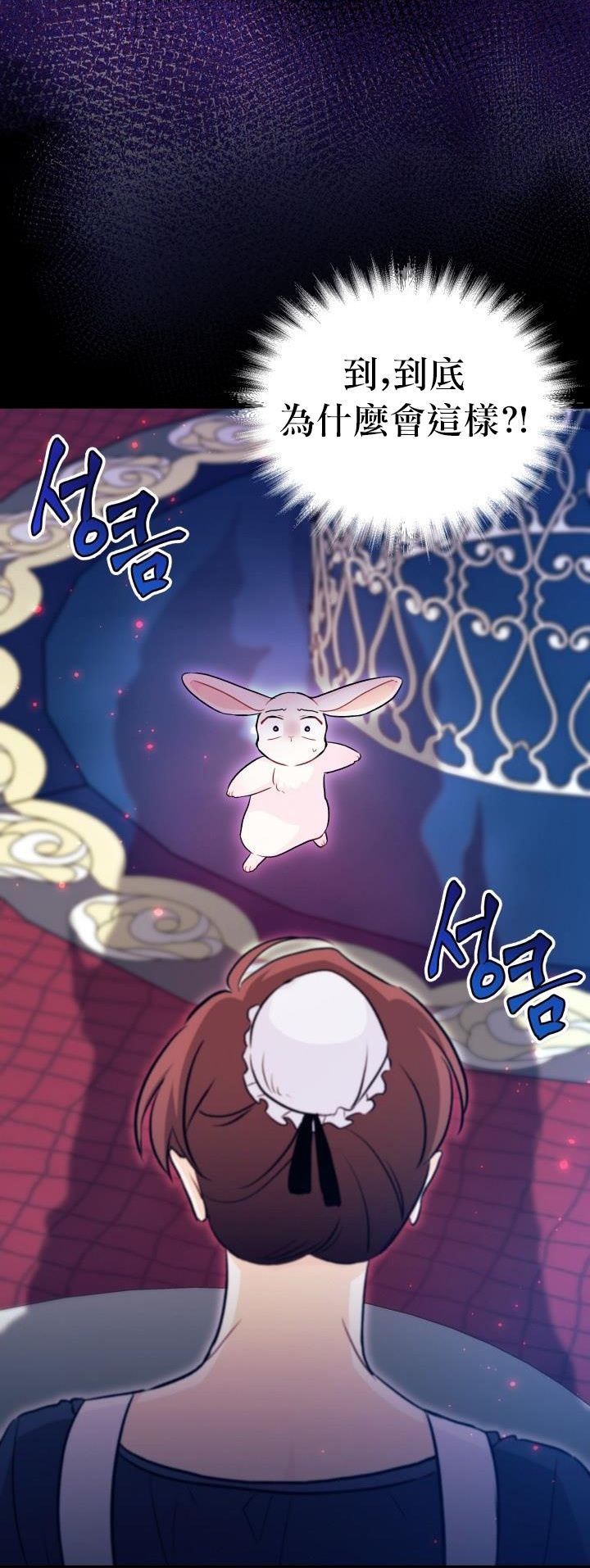 兔子与黑豹的共生关系第13话