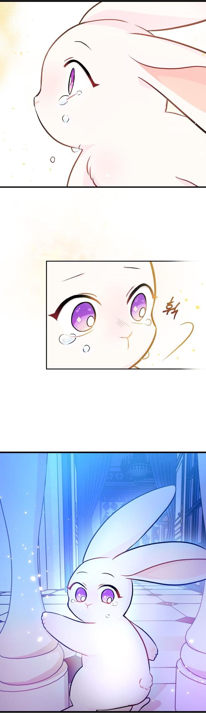 兔子与黑豹的共生关系第14话