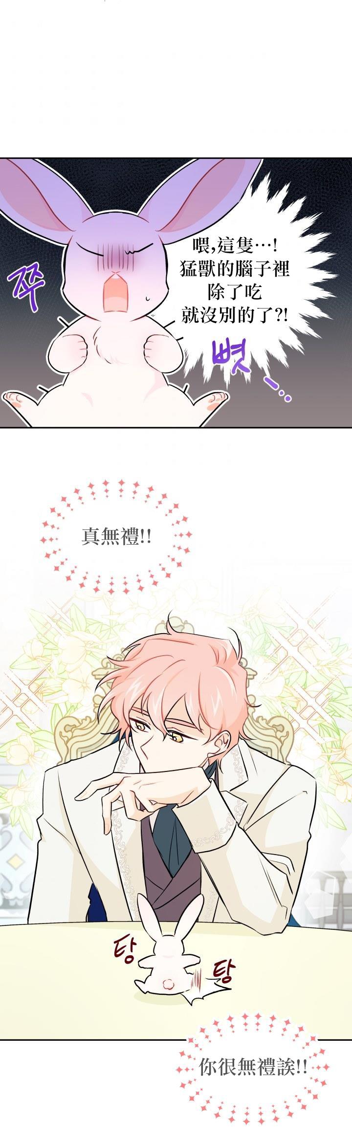 兔子与黑豹的共生关系第15话