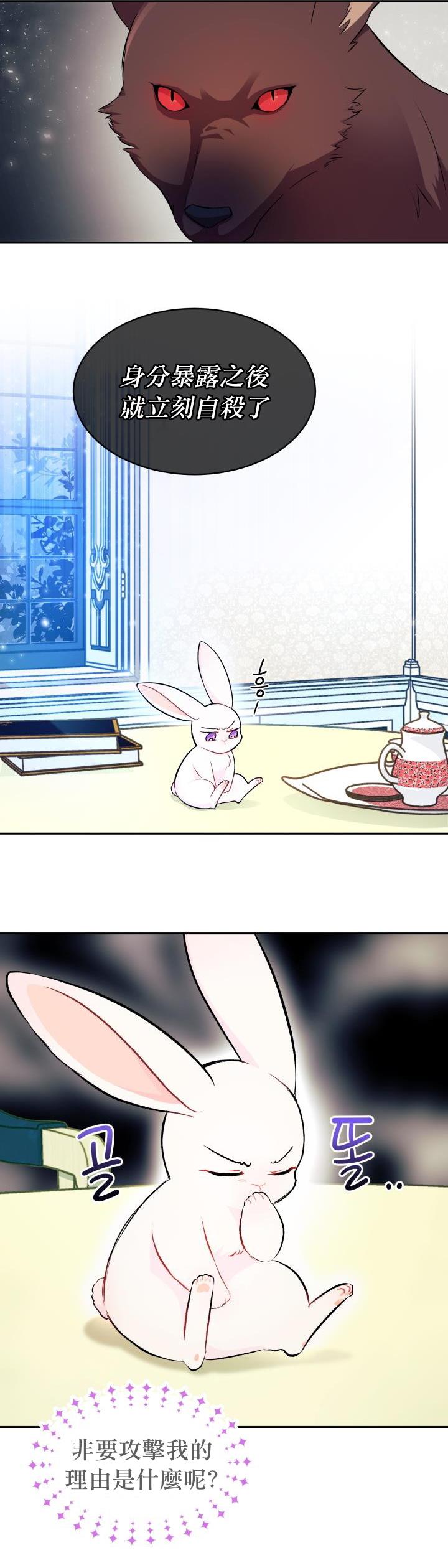 兔子与黑豹的共生关系第15话