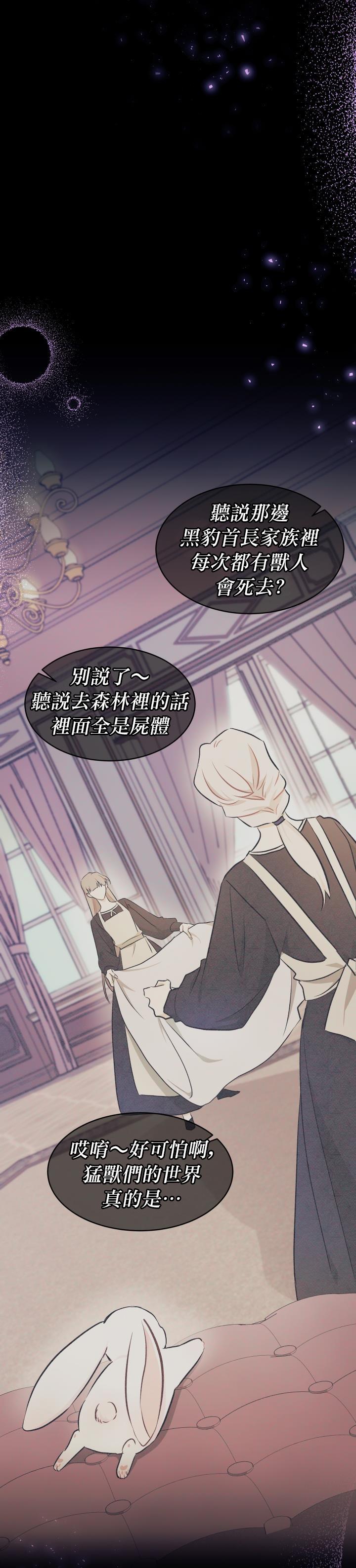 兔子与黑豹的共生关系第15话