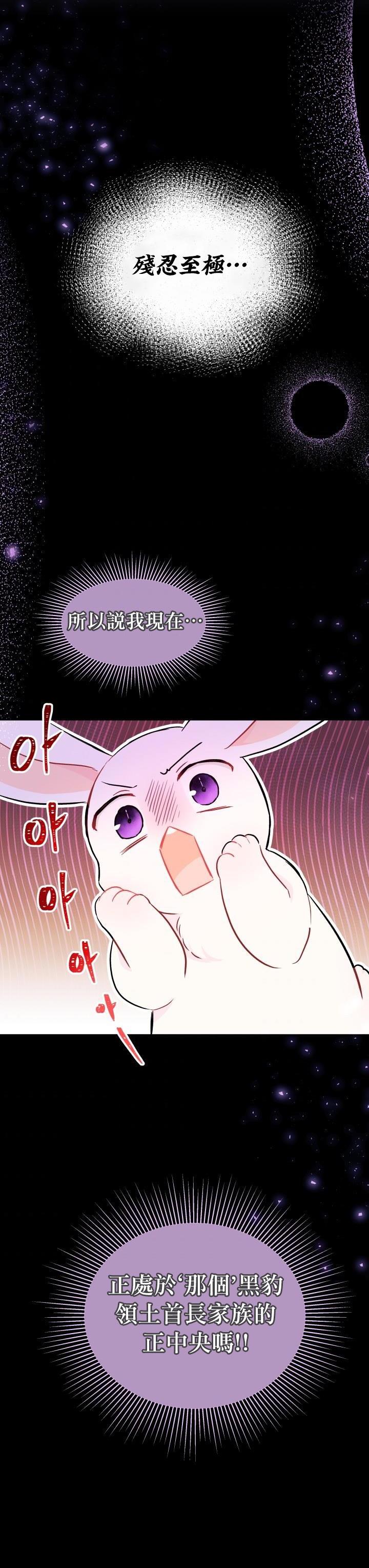 兔子与黑豹的共生关系第15话