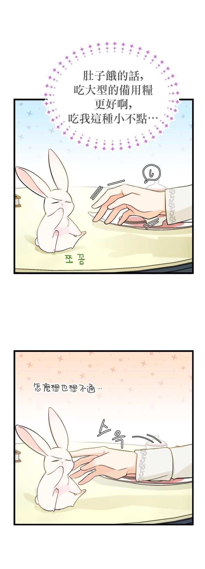 兔子与黑豹的共生关系第15话