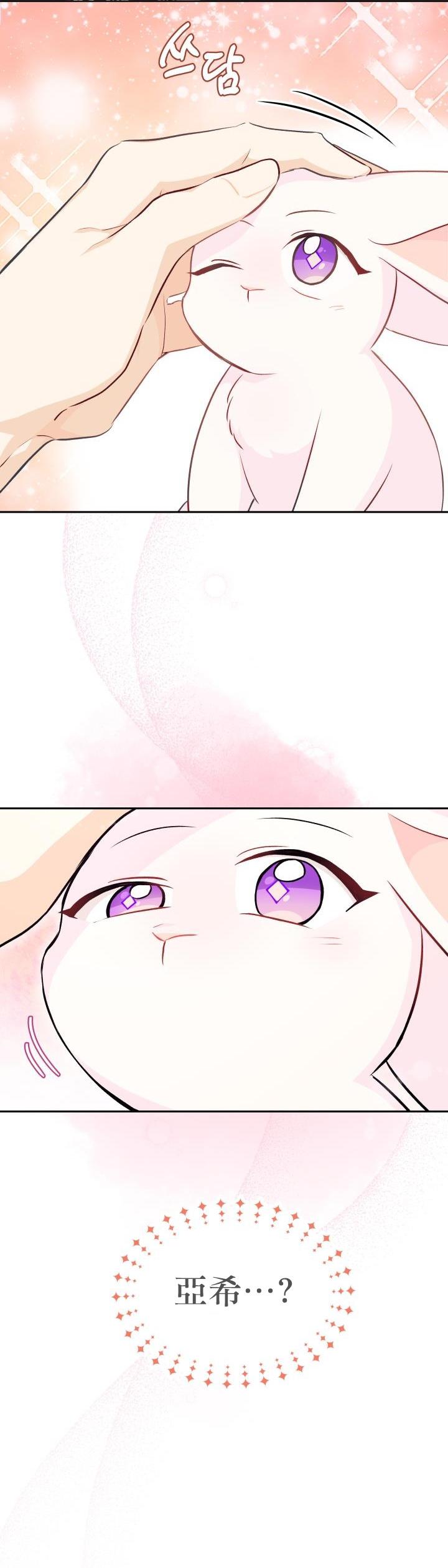 兔子与黑豹的共生关系第16话