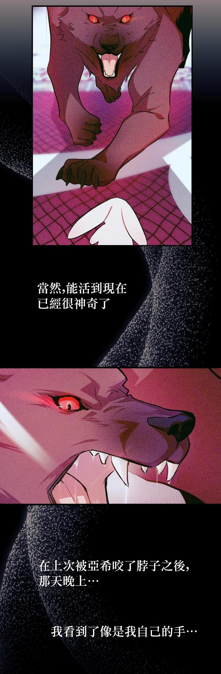 兔子与黑豹的共生关系第16话