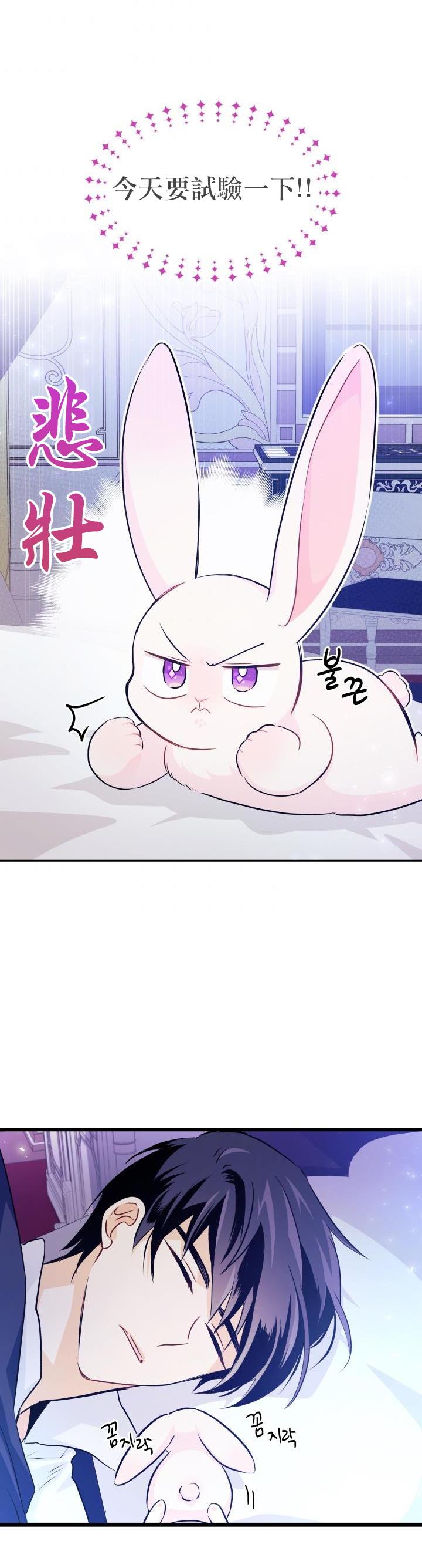 兔子与黑豹的共生关系第16话