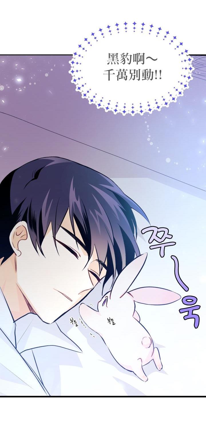 兔子与黑豹的共生关系第16话