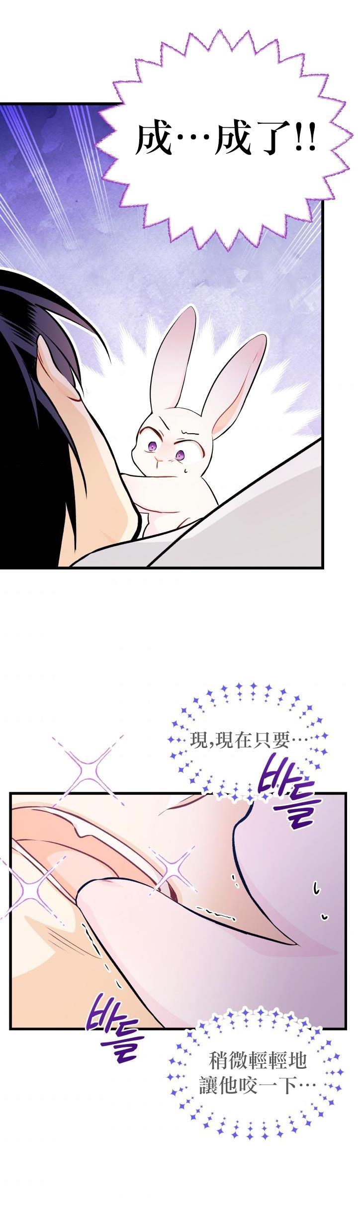 兔子与黑豹的共生关系第16话