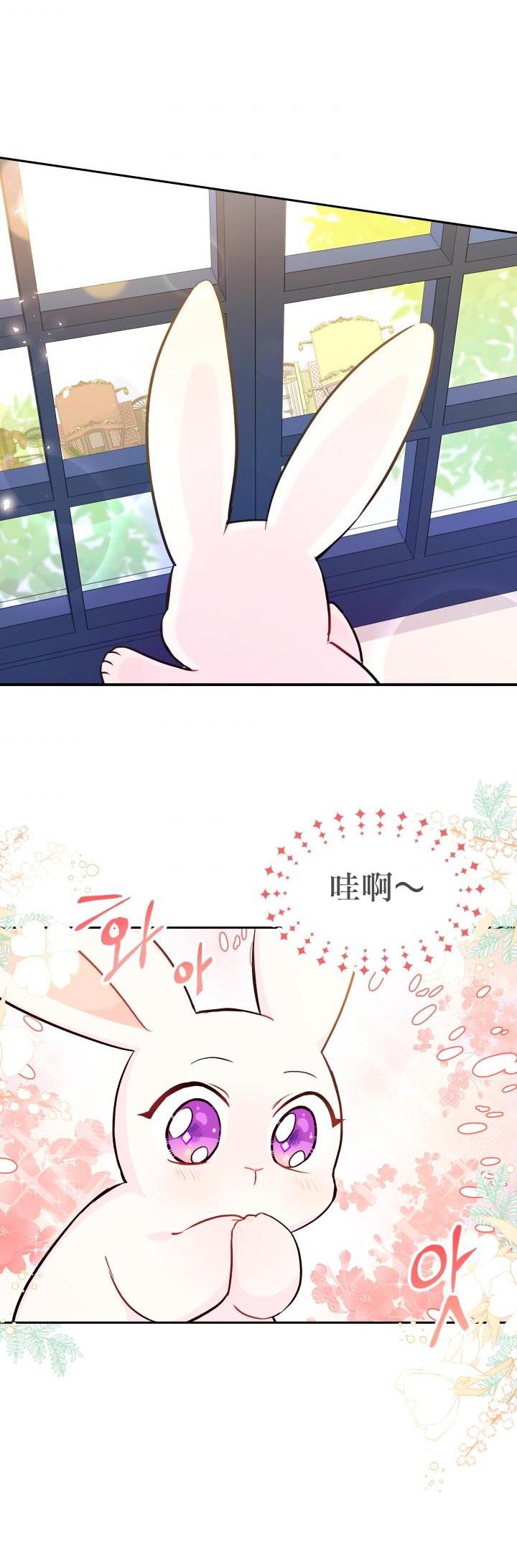 兔子与黑豹的共生关系第16话