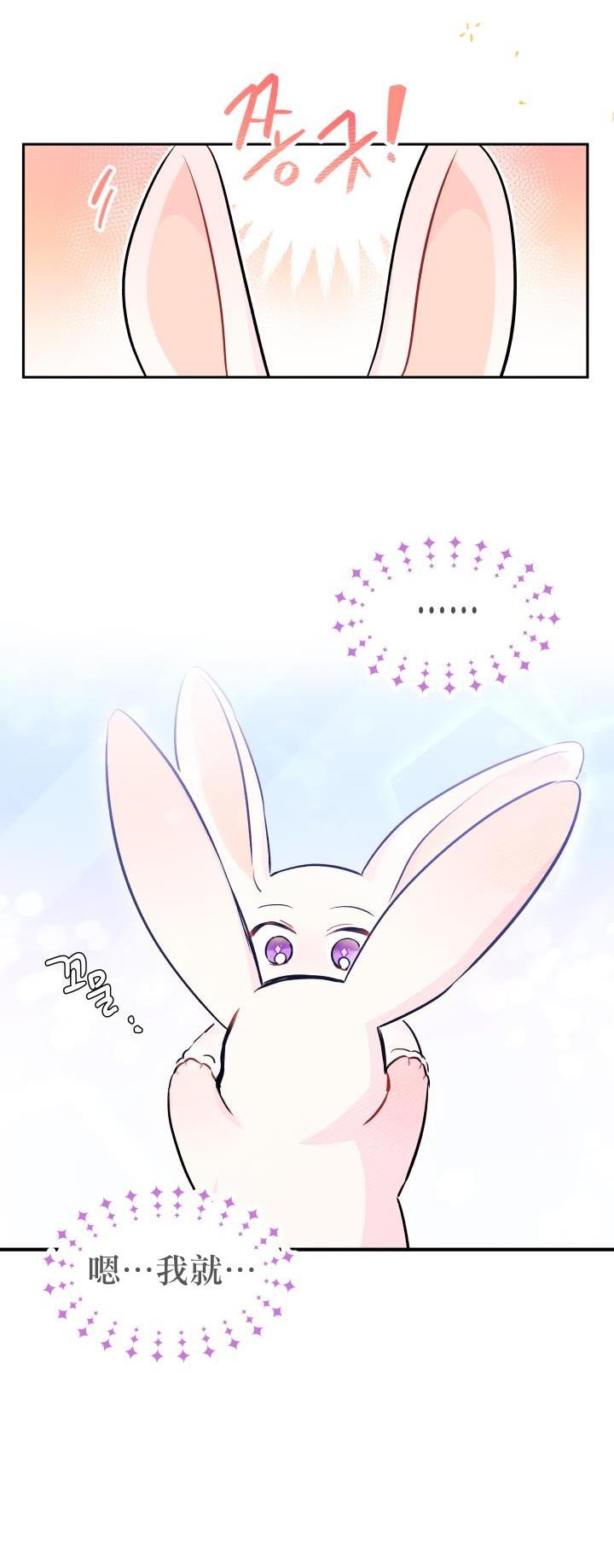 兔子与黑豹的共生关系第16话