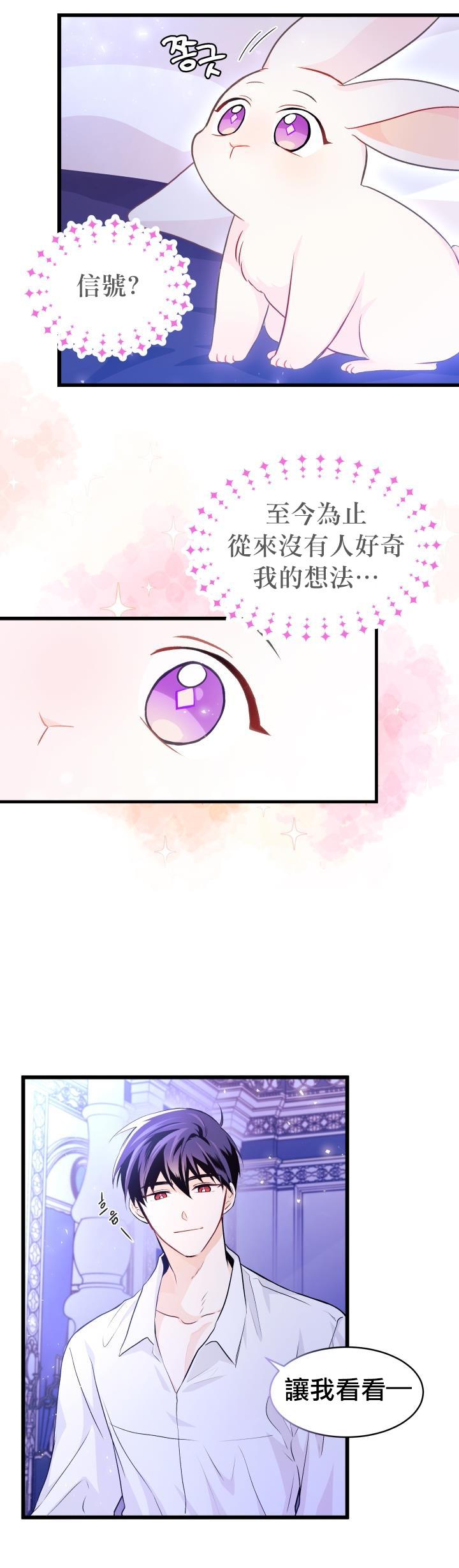 兔子与黑豹的共生关系第16话