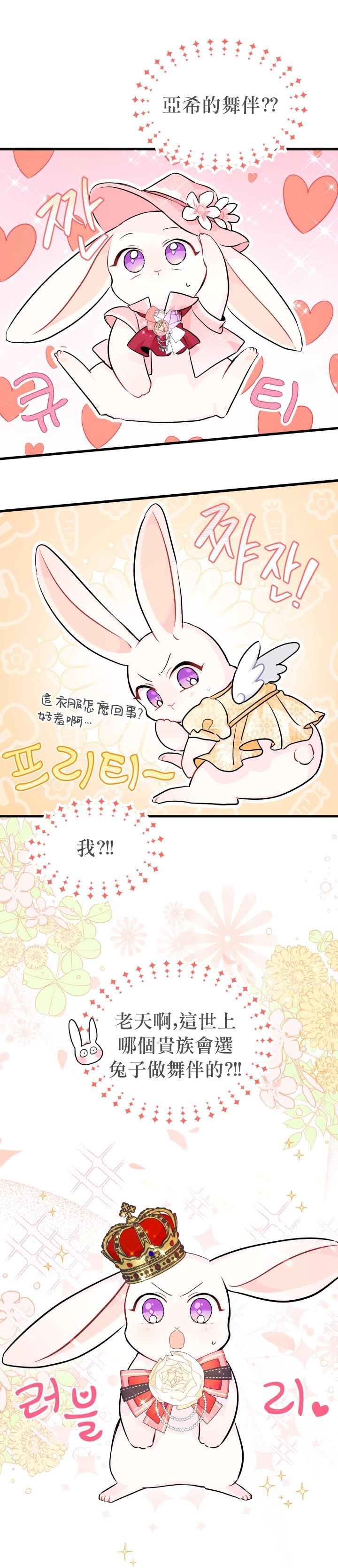 兔子与黑豹的共生关系第17话