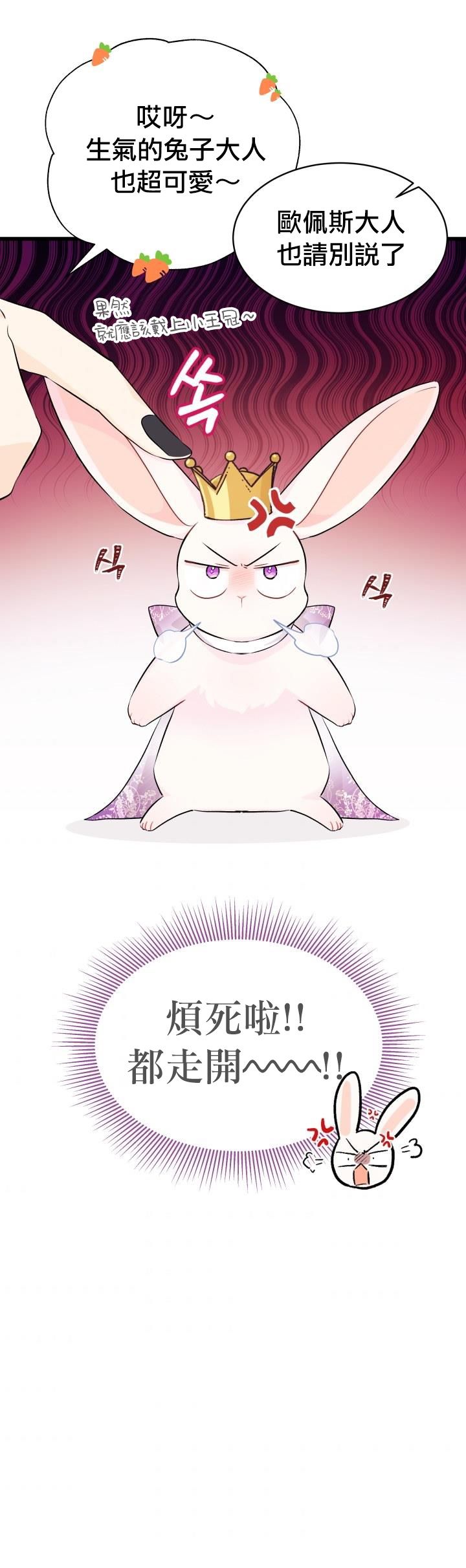 兔子与黑豹的共生关系第17话