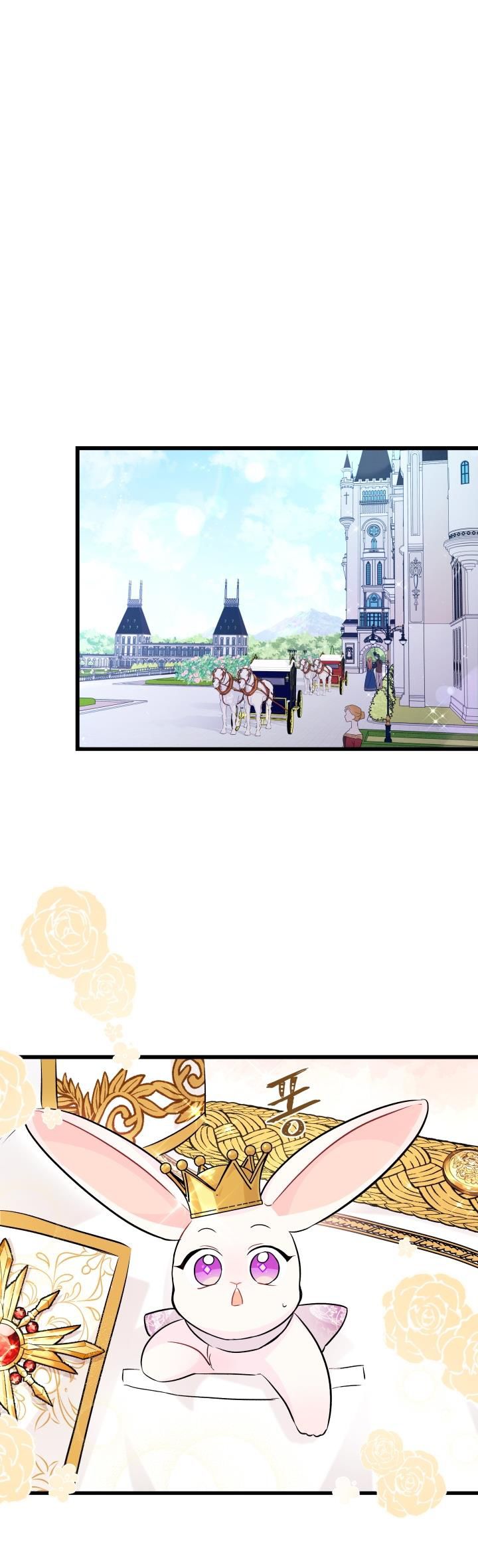 兔子与黑豹的共生关系第17话