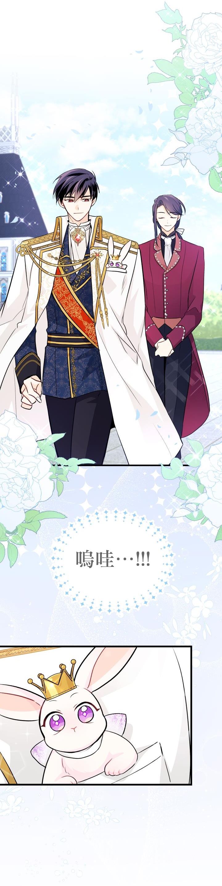 兔子与黑豹的共生关系第17话