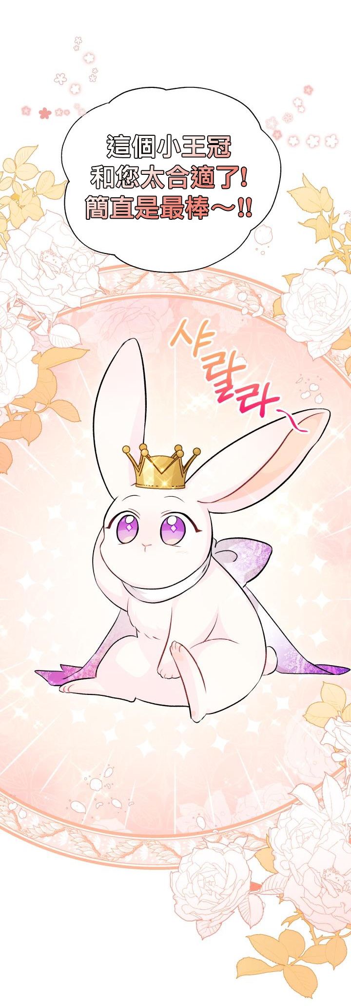 兔子与黑豹的共生关系第17话