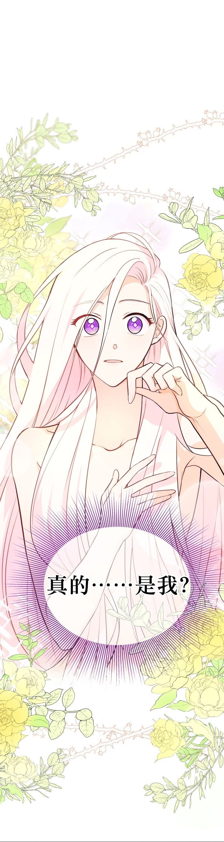 兔子与黑豹的共生关系第19话