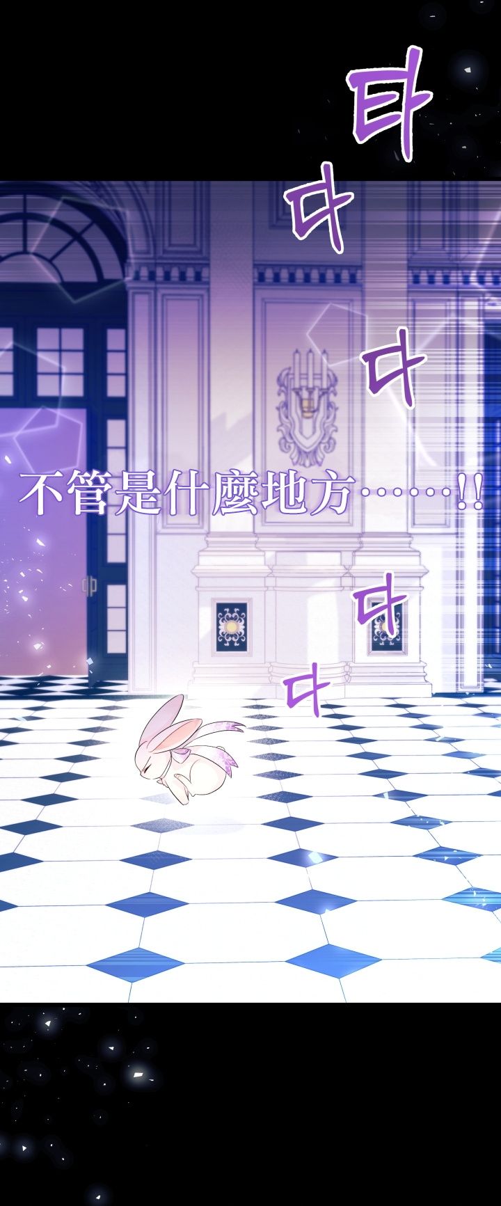 兔子与黑豹的共生关系第19话