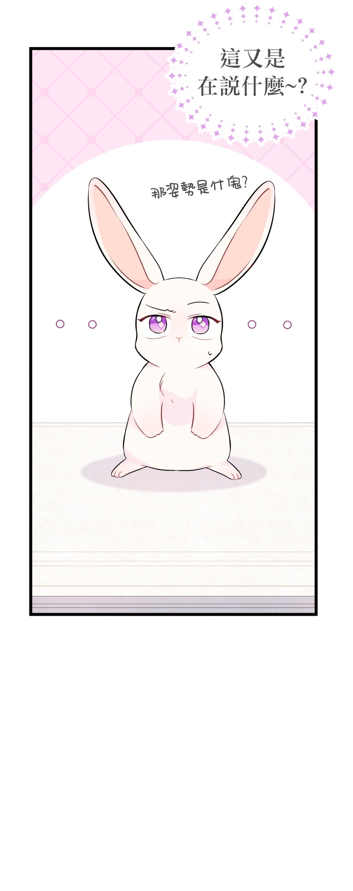 兔子与黑豹的共生关系第22话