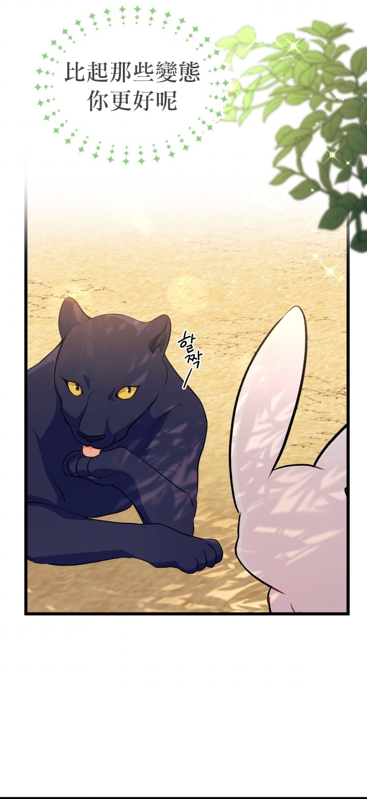 兔子与黑豹的共生关系第23话