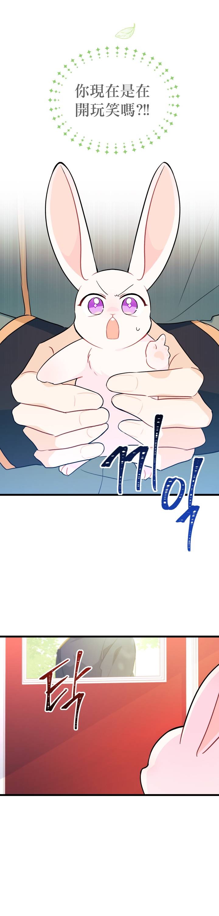 兔子与黑豹的共生关系第27话