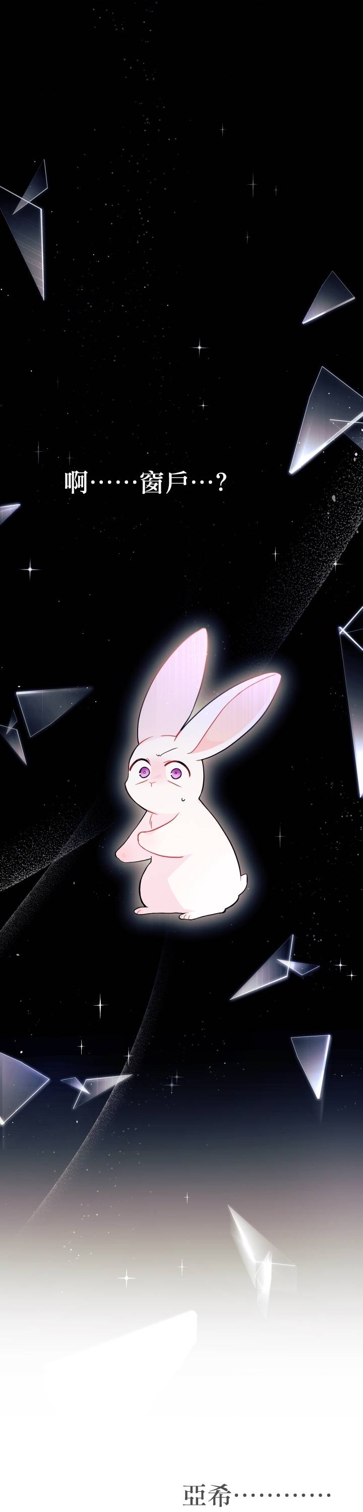 兔子与黑豹的共生关系第27话