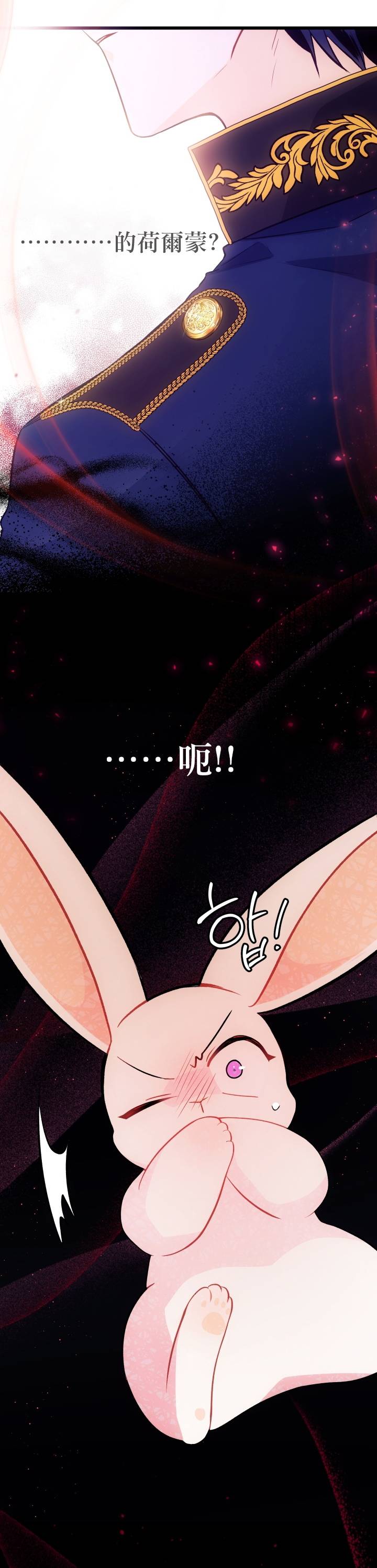 兔子与黑豹的共生关系第27话