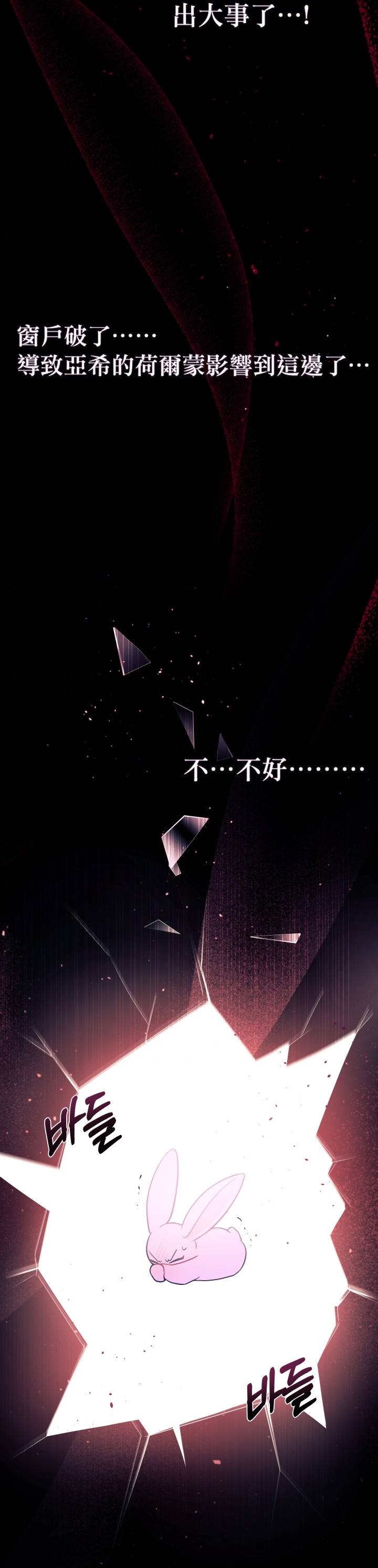 兔子与黑豹的共生关系第27话