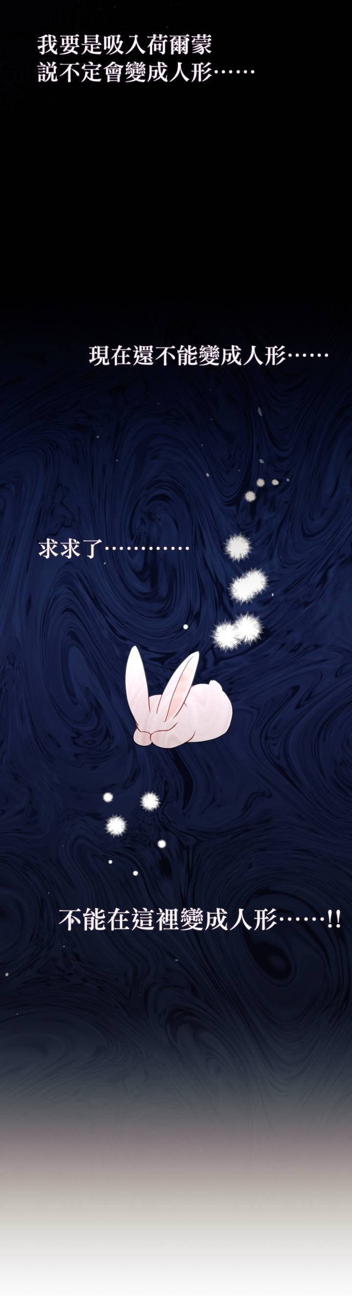 兔子与黑豹的共生关系第27话