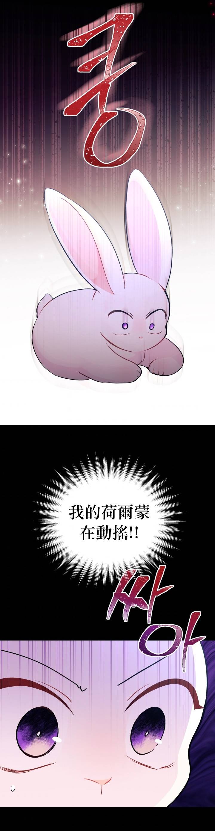 兔子与黑豹的共生关系第27话