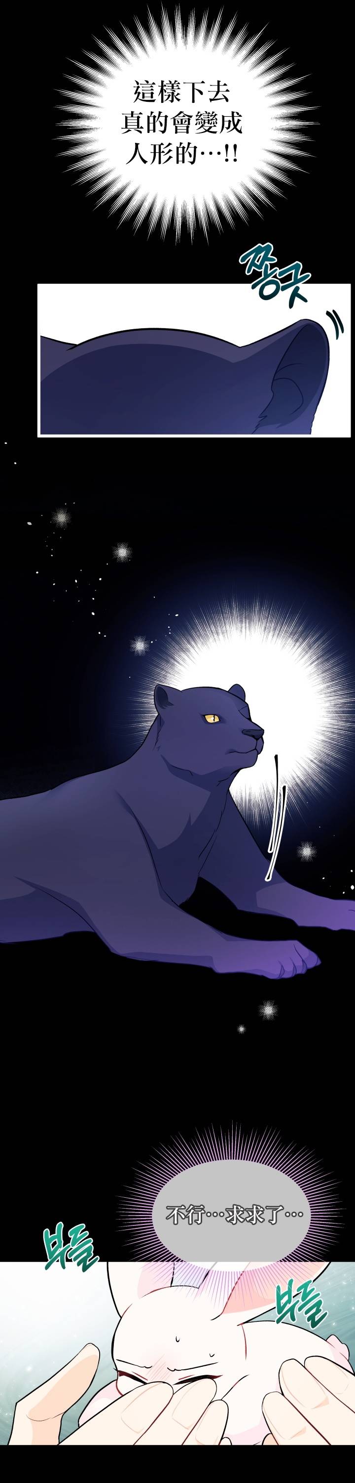 兔子与黑豹的共生关系第27话