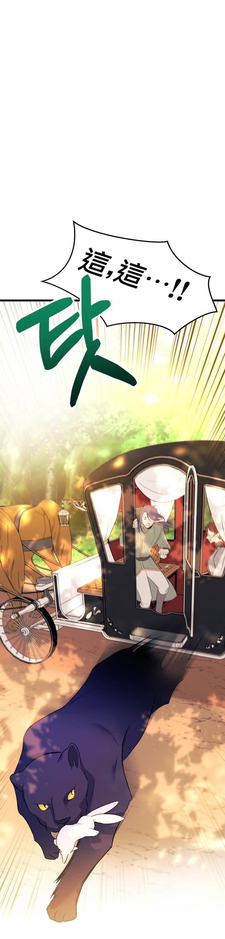 兔子与黑豹的共生关系第27话