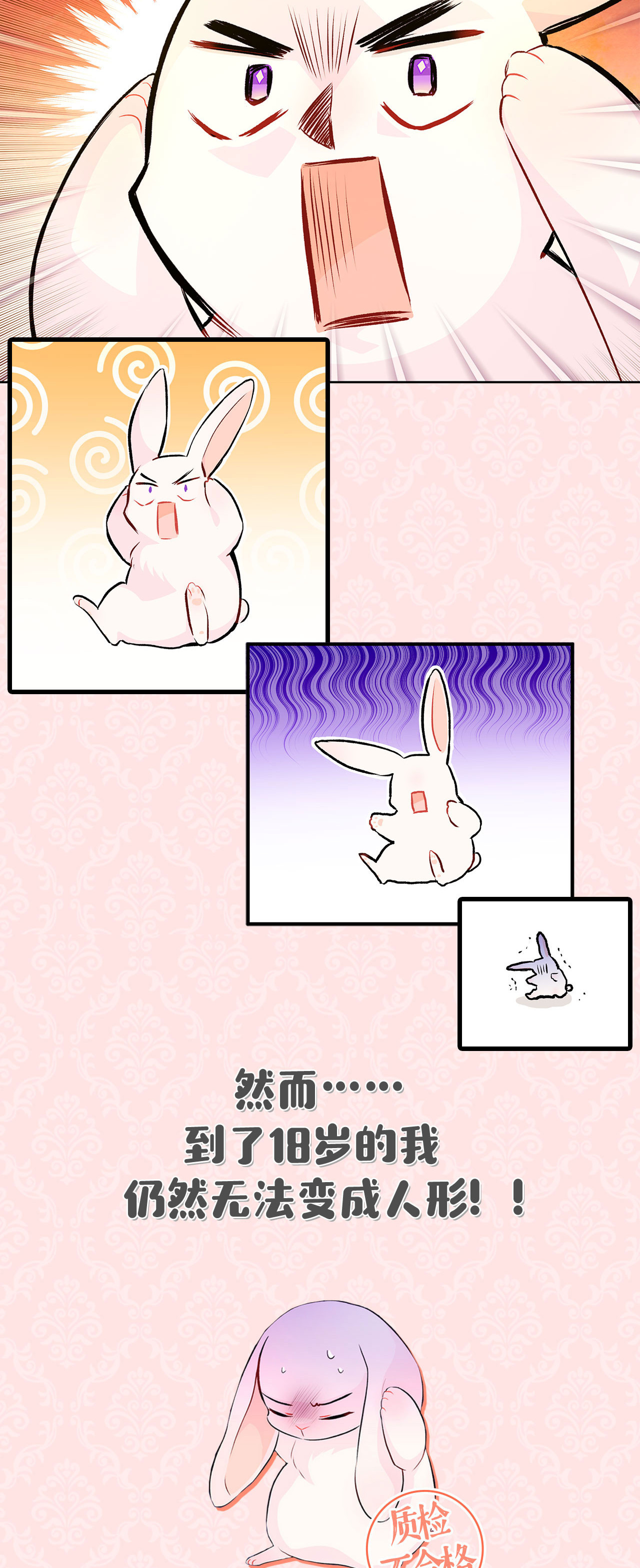 兔子与黑豹的共生关系兔兔自传 评论送福利啦！