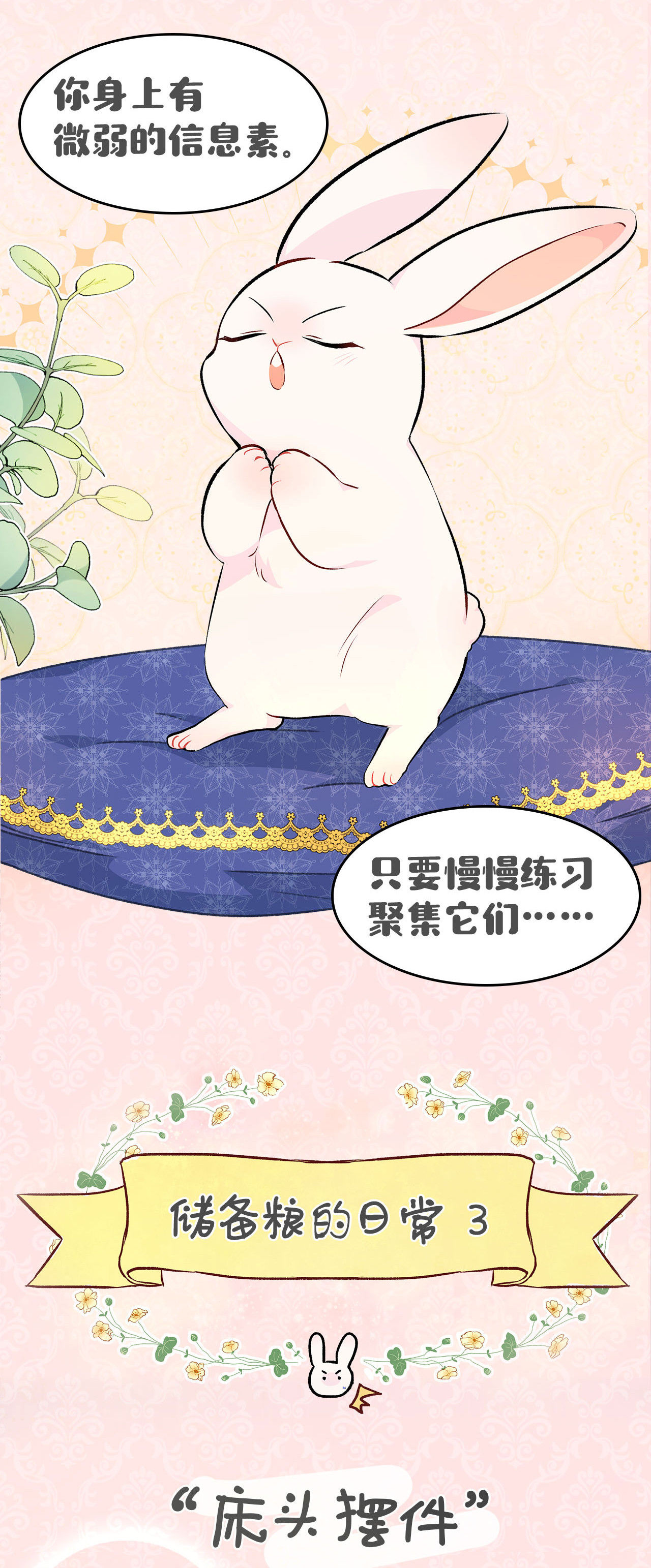 兔子与黑豹的共生关系兔兔自传 评论送福利啦！