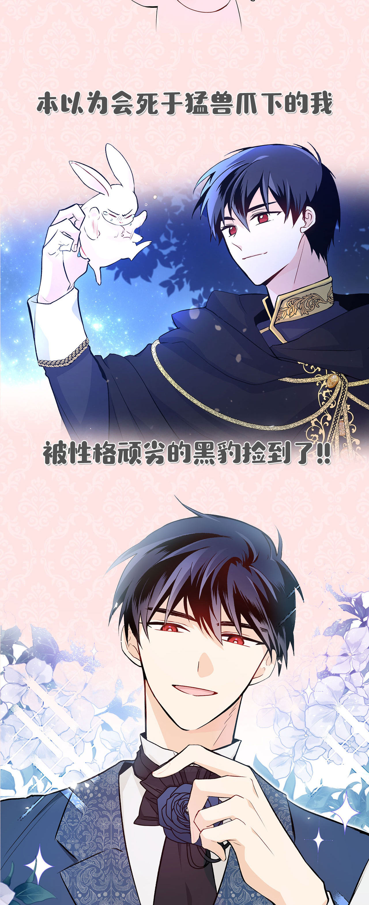 兔子与黑豹的共生关系兔兔自传 评论送福利啦！