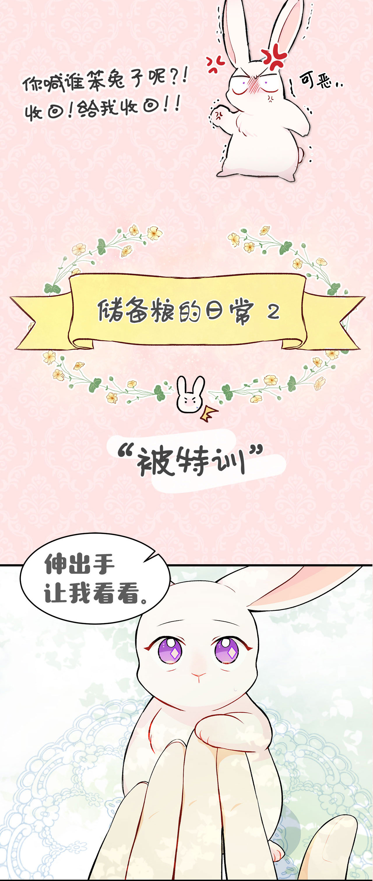 兔子与黑豹的共生关系兔兔自传 评论送福利啦！