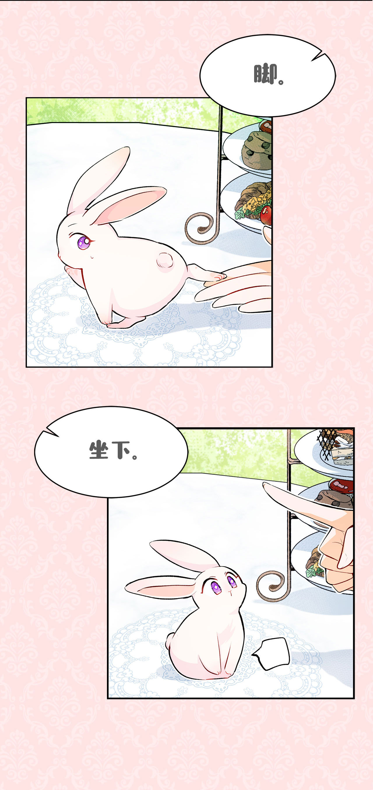 兔子与黑豹的共生关系兔兔自传 评论送福利啦！