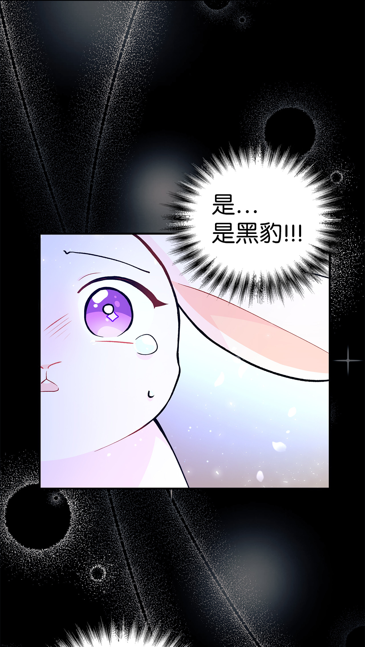 兔子与黑豹的共生关系01 哭泣的兔子