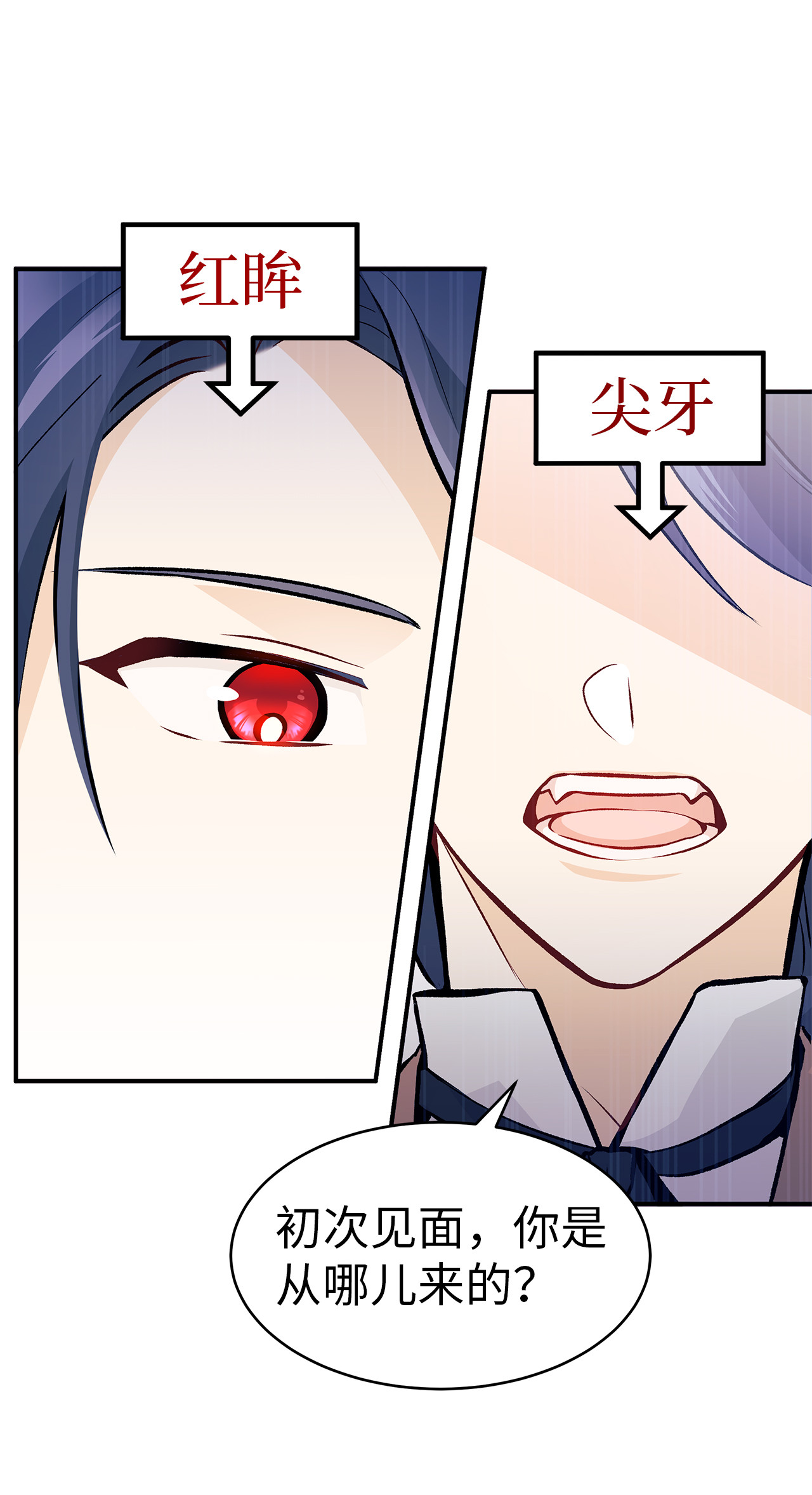 兔子与黑豹的共生关系02 可怕的黑豹