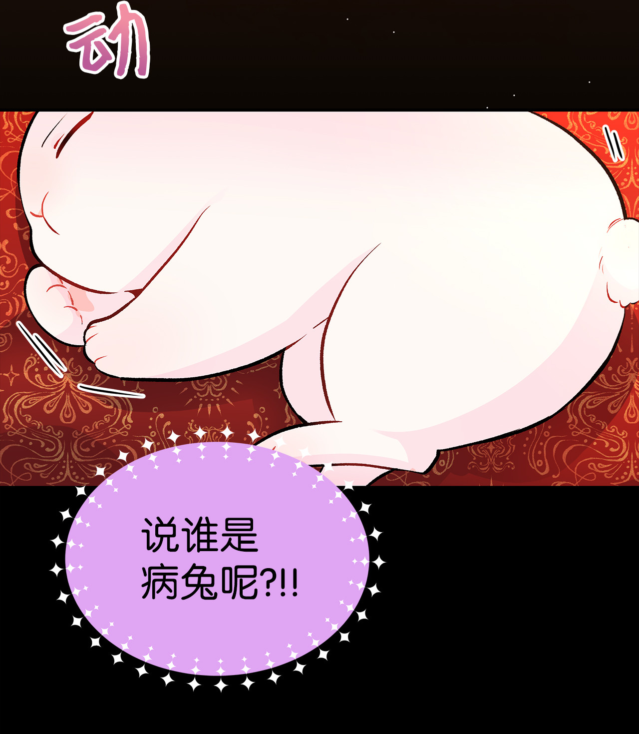 兔子与黑豹的共生关系02 可怕的黑豹