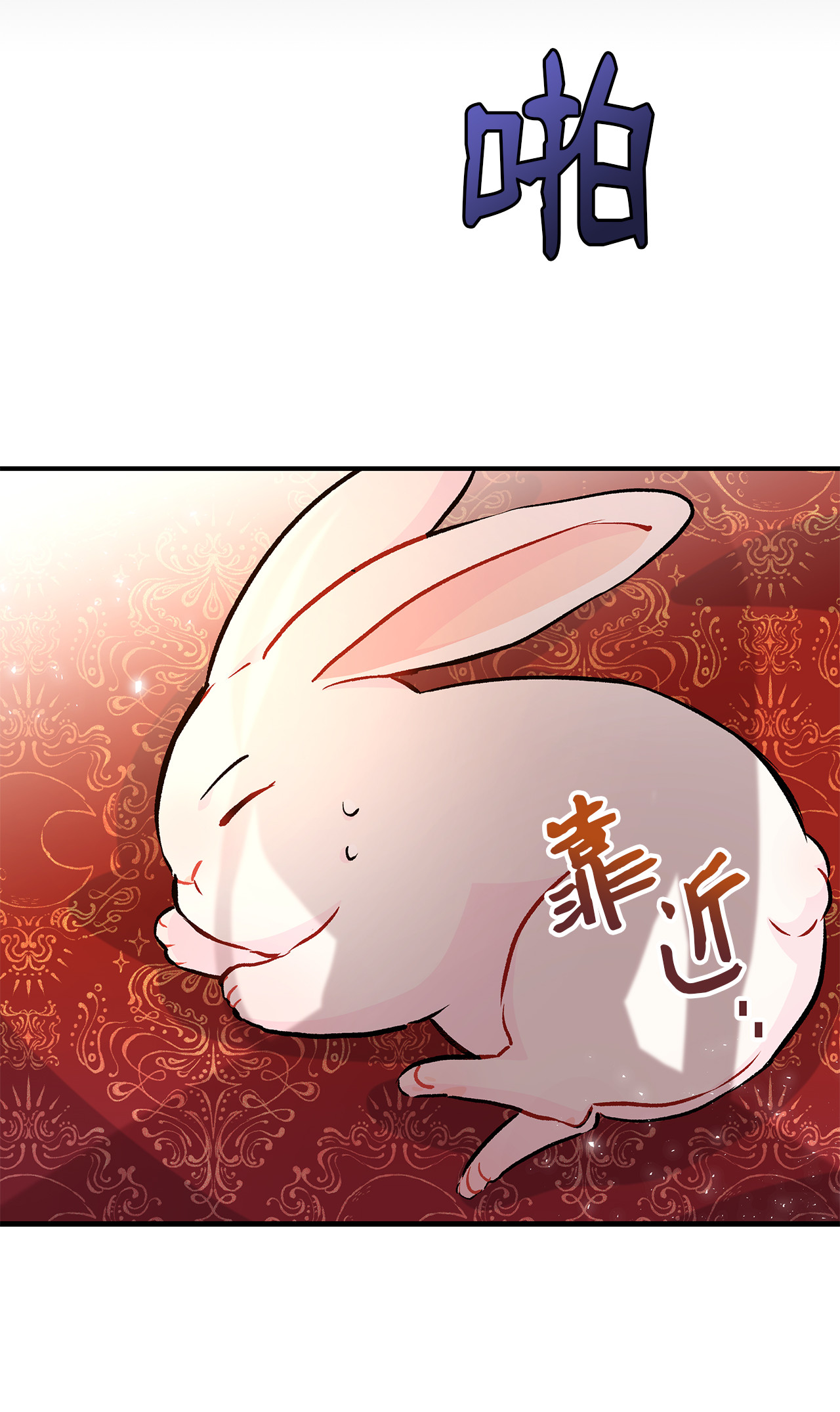 兔子与黑豹的共生关系02 可怕的黑豹