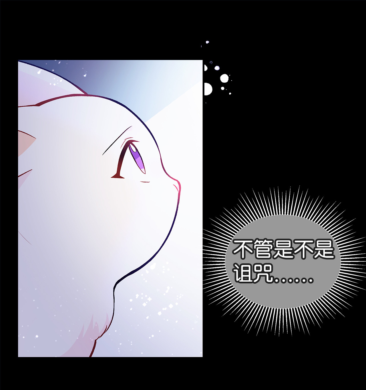 兔子与黑豹的共生关系02 可怕的黑豹