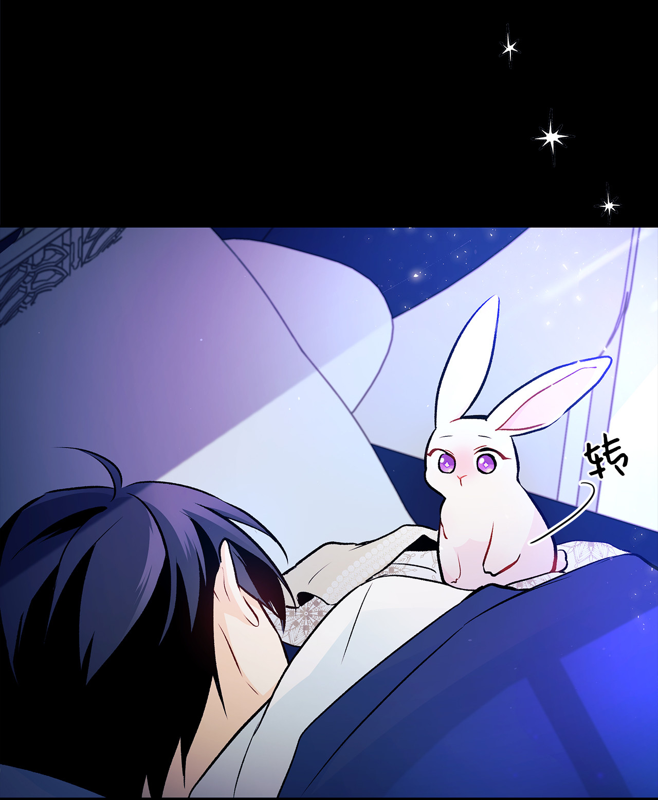 兔子与黑豹的共生关系02 可怕的黑豹