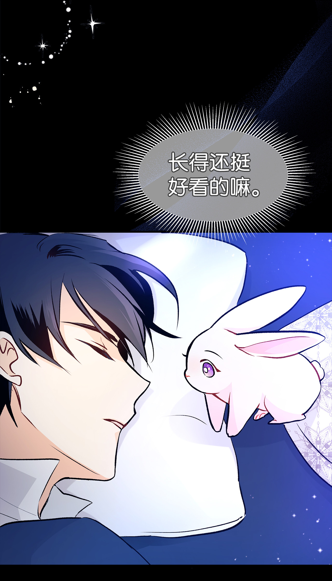 兔子与黑豹的共生关系02 可怕的黑豹