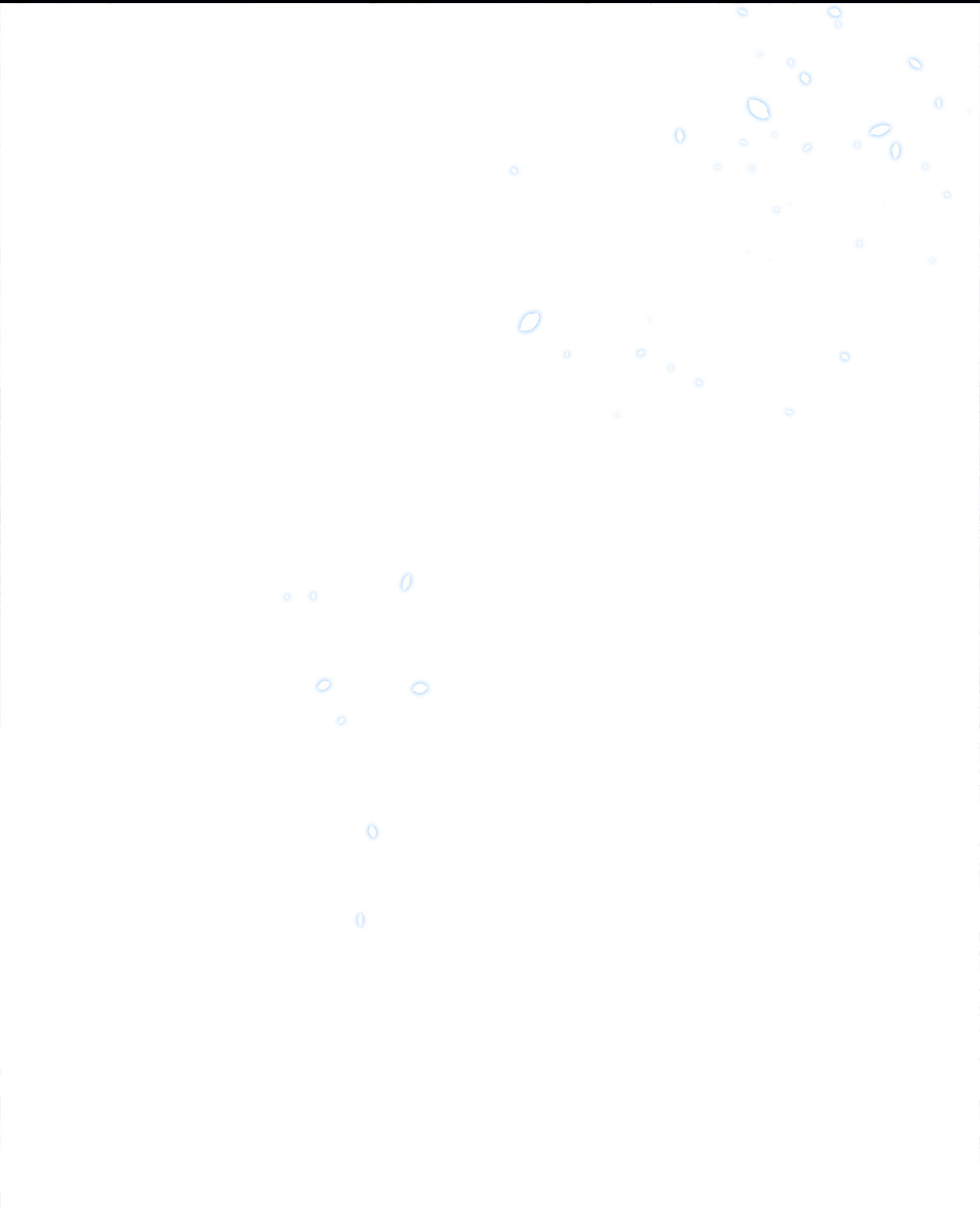 兔子与黑豹的共生关系04 受伤的黑豹