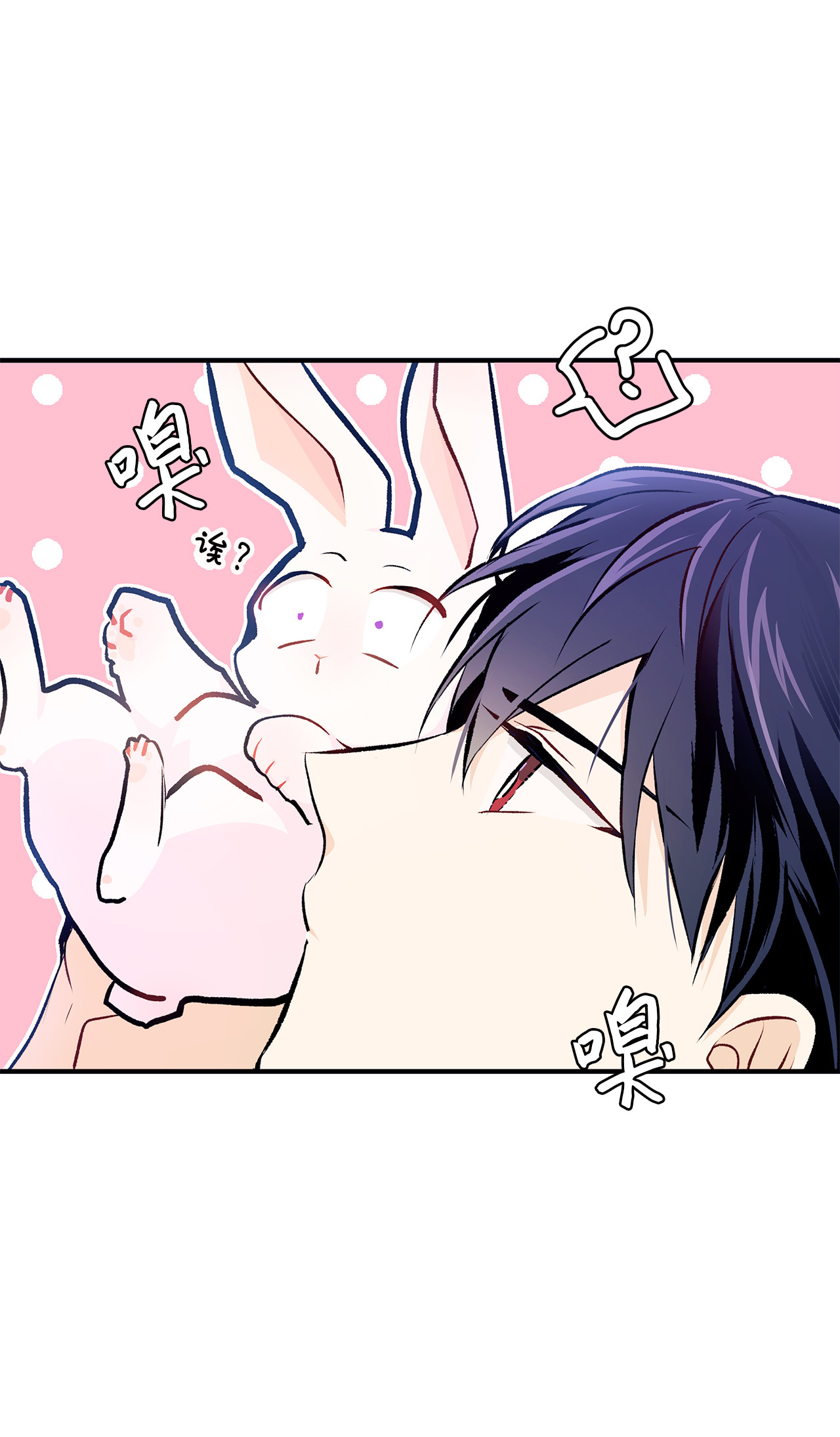 兔子与黑豹的共生关系04 受伤的黑豹